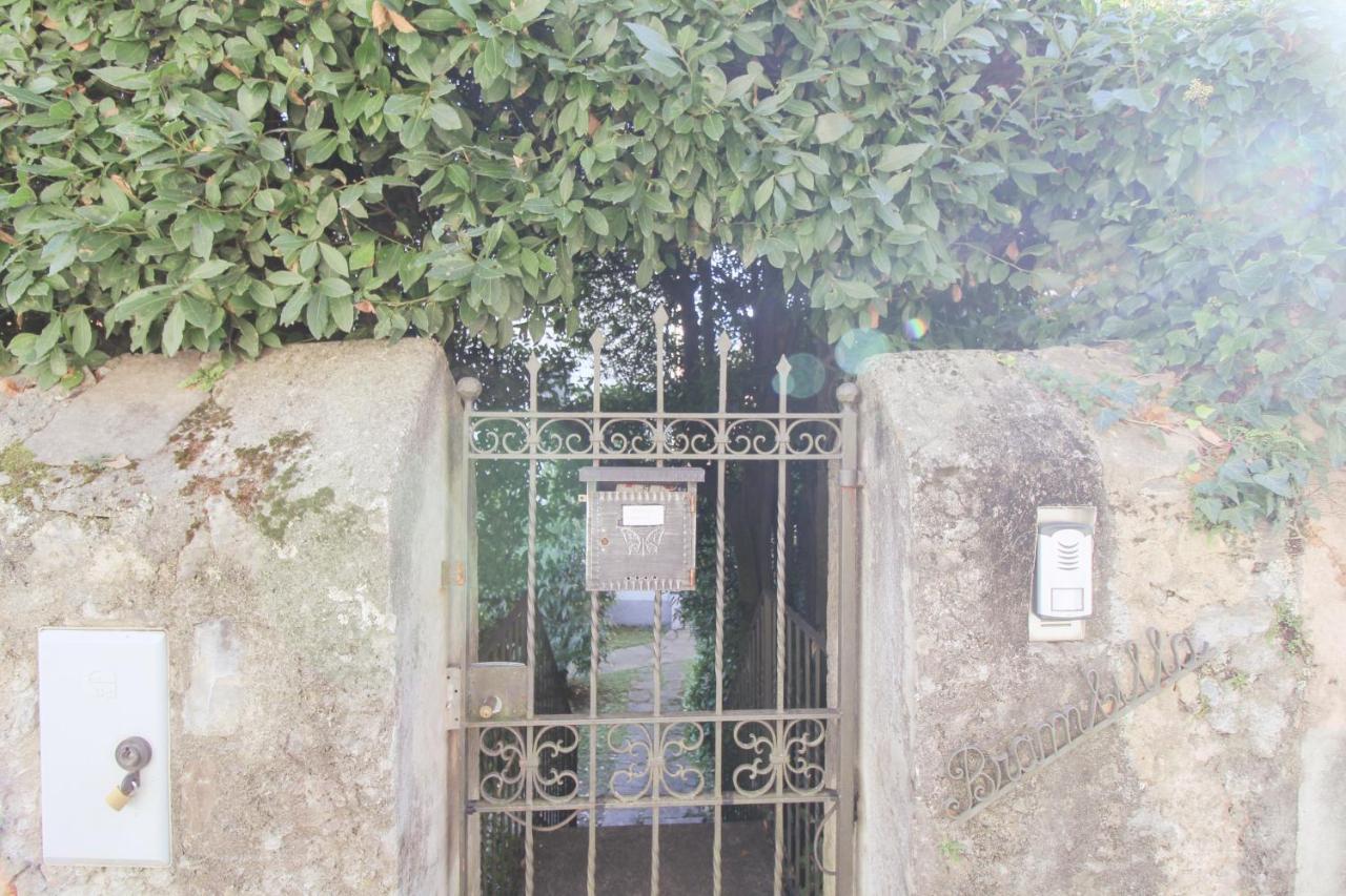 Villa Elena Mezzegra エクステリア 写真